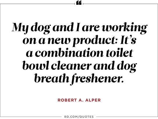 8 Funny One Liners About Dogs Readers Digest