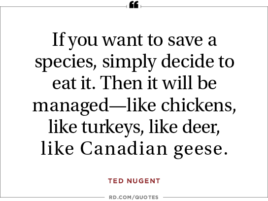 thanksgiving jokes ted nugent | Reader's Digest