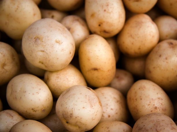 Potatoes 101: All You Need to Know About Common Spuds