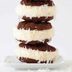 20 Outrageous Homemade Ice Cream Sandwiches