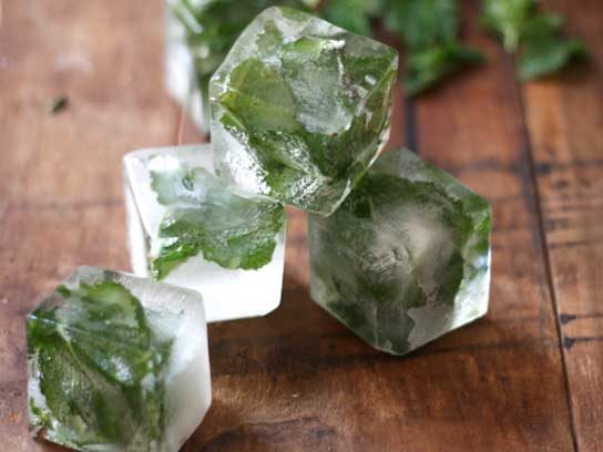 Flavored Ice Cubes - Let's Mingle Blog