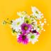 10+ Pro Tricks to Make Flowers Last Longer