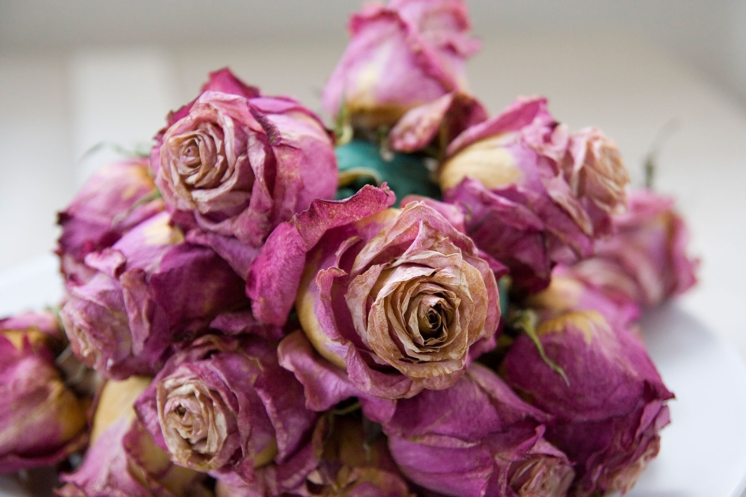 How to Dry Flowers: 5 Awesome Ways to Preserve a Bouquet ...