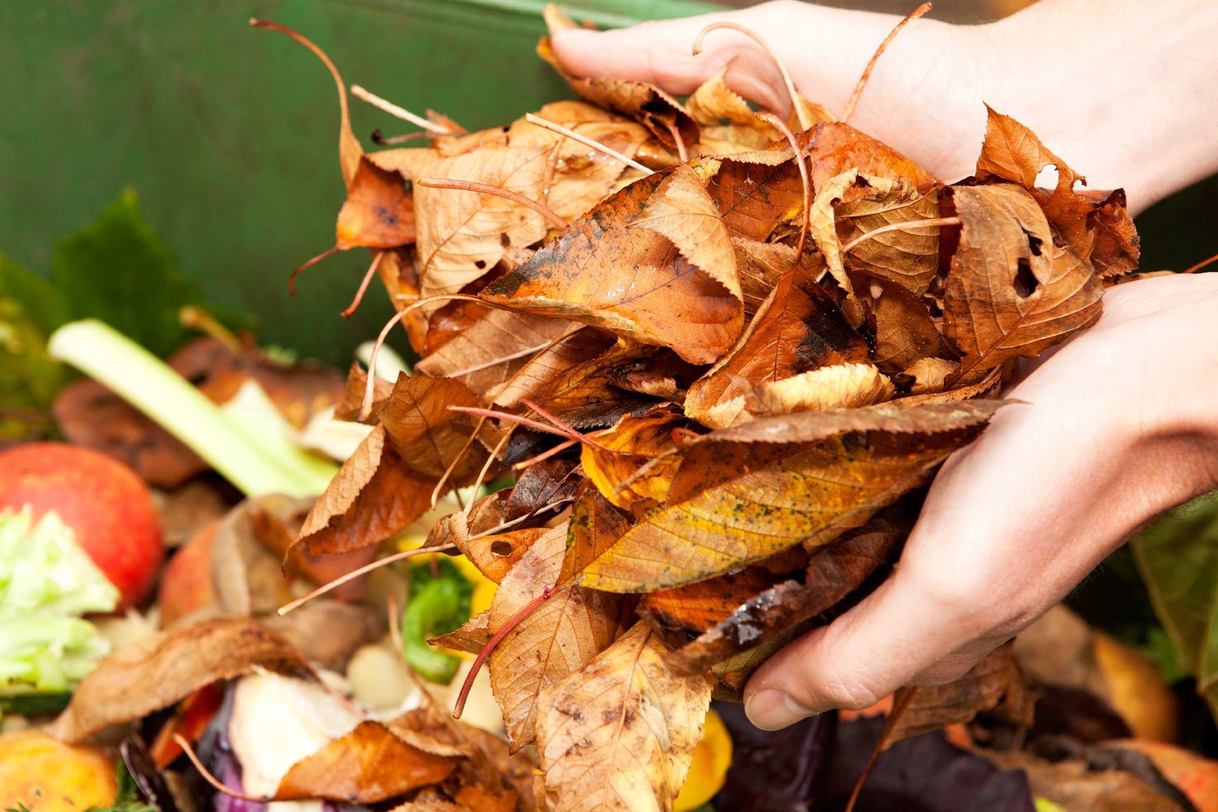 How to Compost: 10 Simple Steps to Get Started: Reader's 