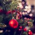 12 Secrets Your Christmas Tree Wishes You Knew