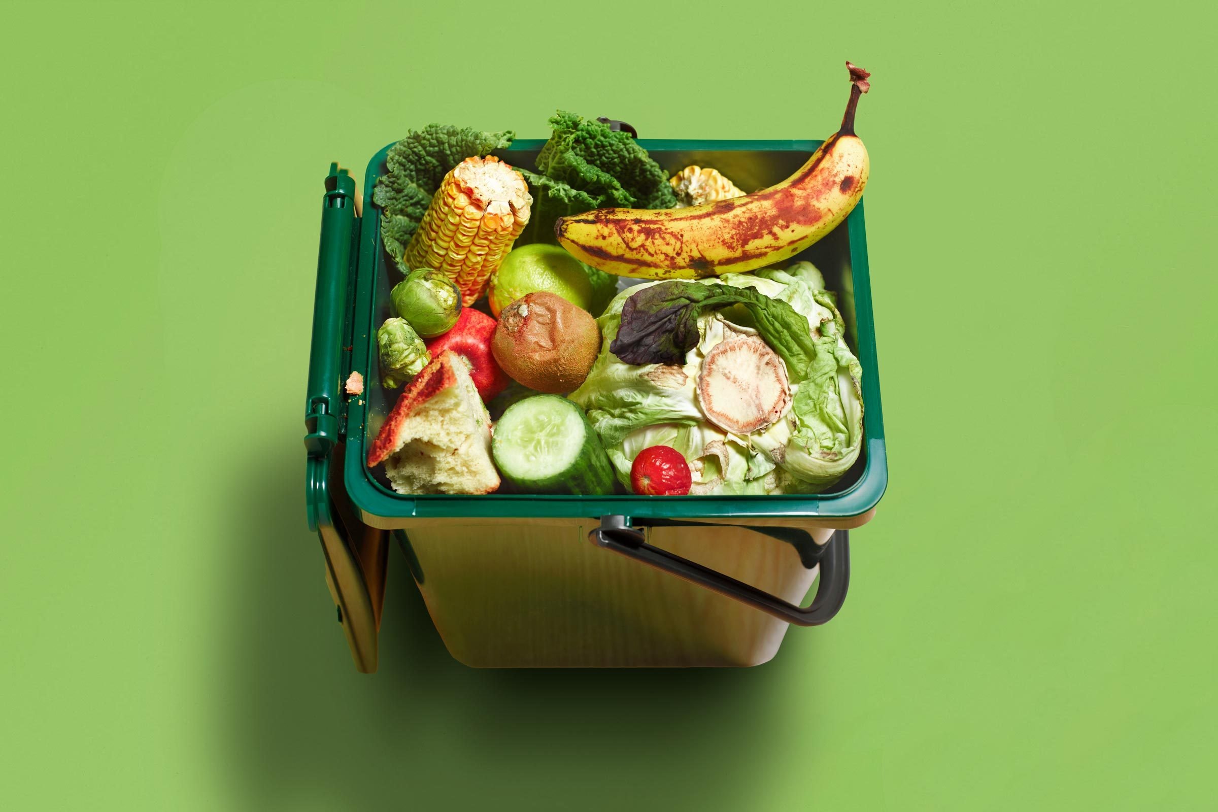 Veggie Saver bag fights food waste - Produce Blue Book
