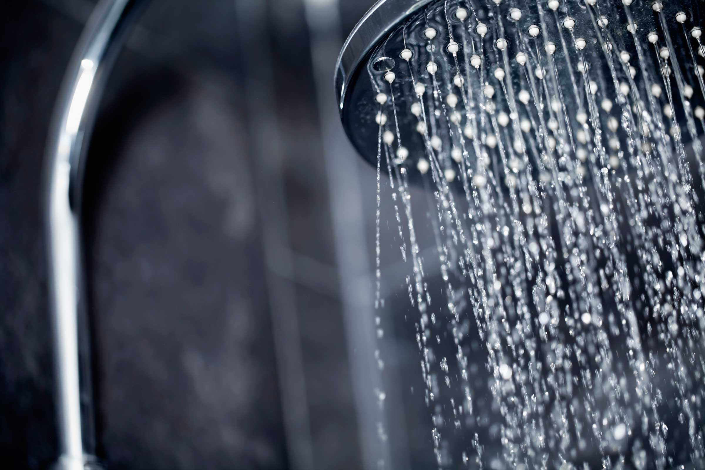 Dirty Shower Heads: What's Living in Yours? | Reader's Digest