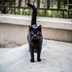This Is the Real Reason You Believe in Superstitions—Says Science