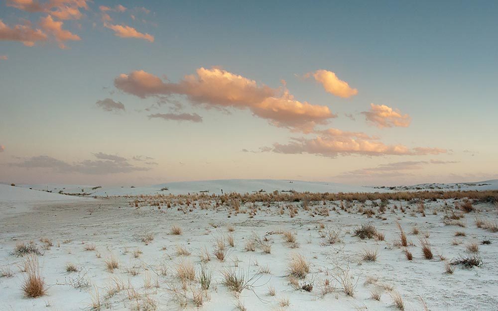 whitesands