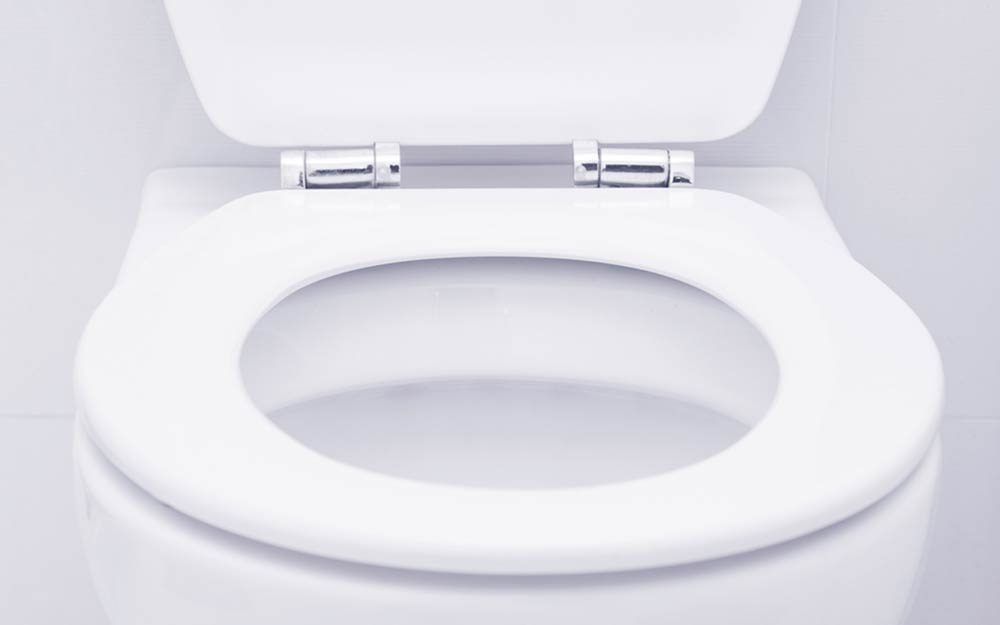 toilet with seat