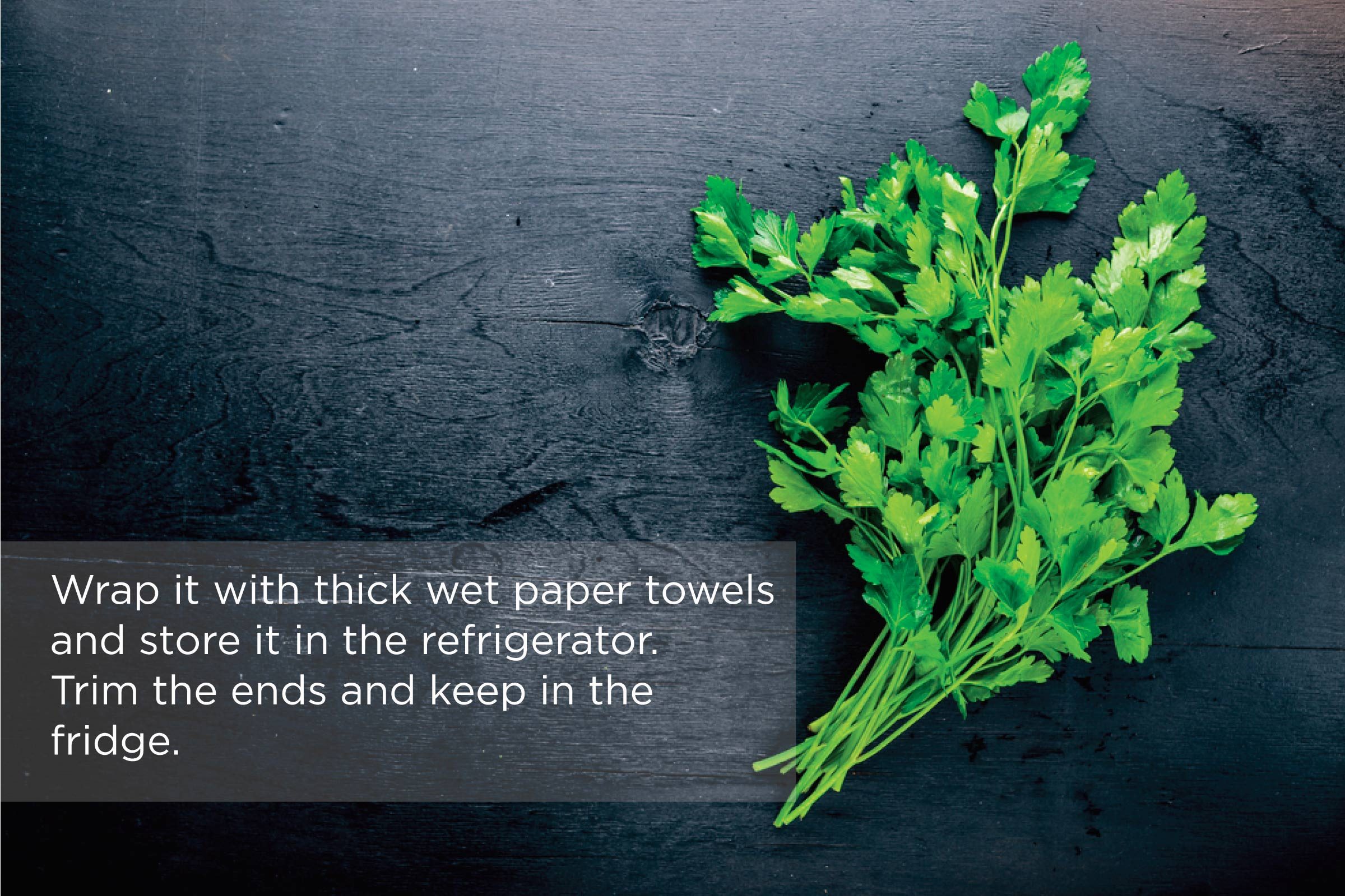 Use-This-Genius-Guide-to-Keep-Herbs-Fresher-Longer