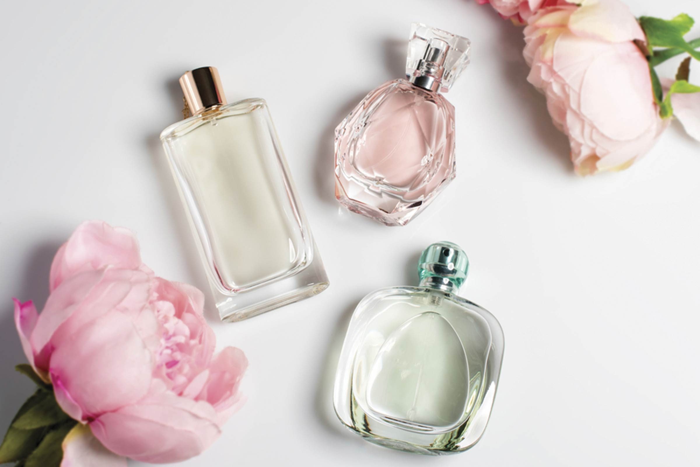What is your favorite scent and brand of perfume? - Quora