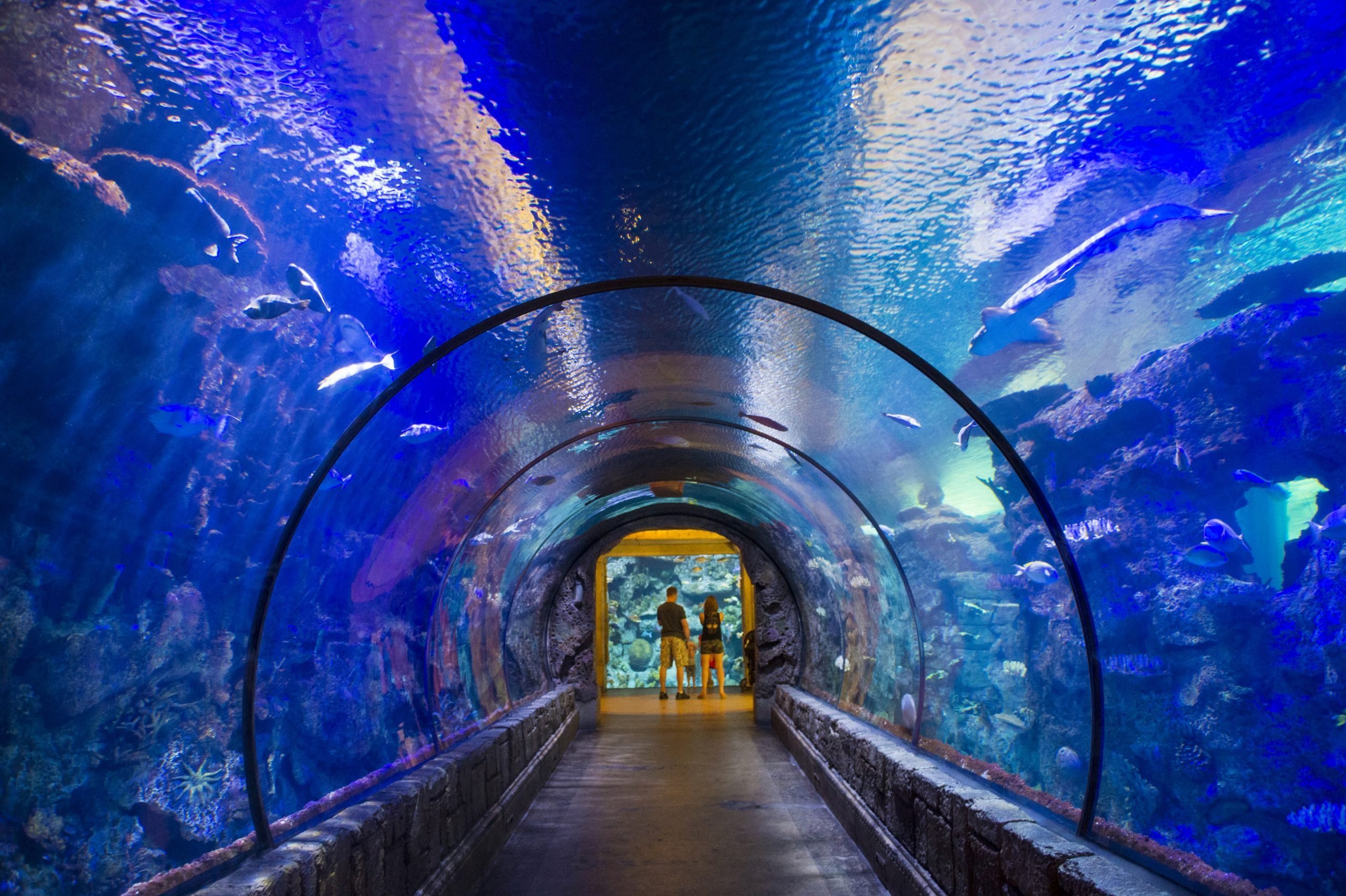 MustSee Las Vegas Attractions That Aren't Casinos Reader's Digest