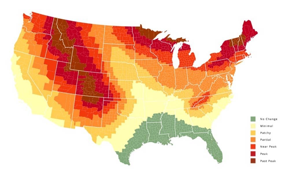 Fall Foliage Map of When the Leaves Will Change Reader's Digest