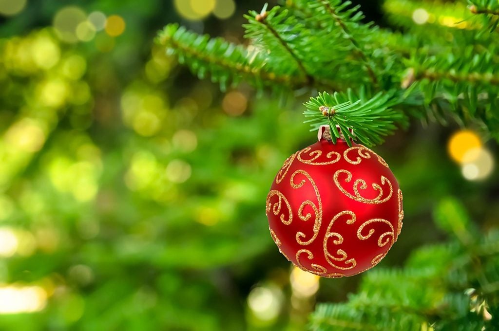 Why Christmas Colors Are Green and Red Readers Digest