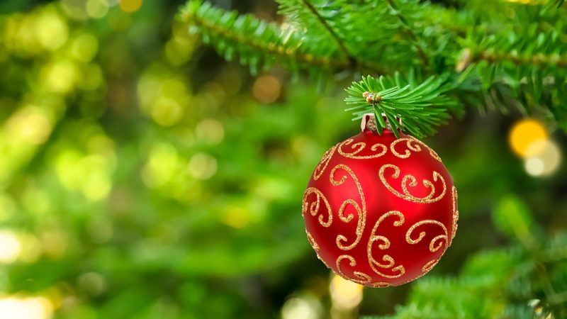 Why Christmas Colors Are Green and Red | Reader’s Digest