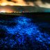 This Beach That Glows in the Dark Is Completely Magical to See