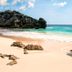 11 Amazing Beaches to Add to Your Bucket List ASAP