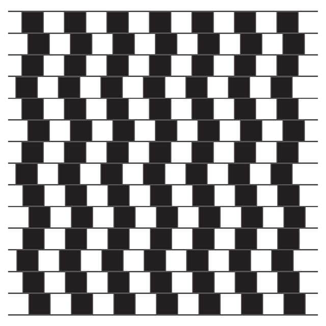 Line Illusions