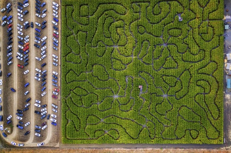 Petaluma Pumpkin Patch