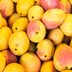 The Weird Reason Mango Makes Your Mouth Itch