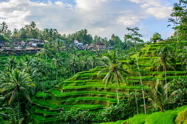 The Most Popular Travel Destinations in Indonesia | Reader's Digest