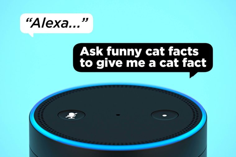 Funny Alexa Questions to Ask Your Amazon Echo | Reader's Digest