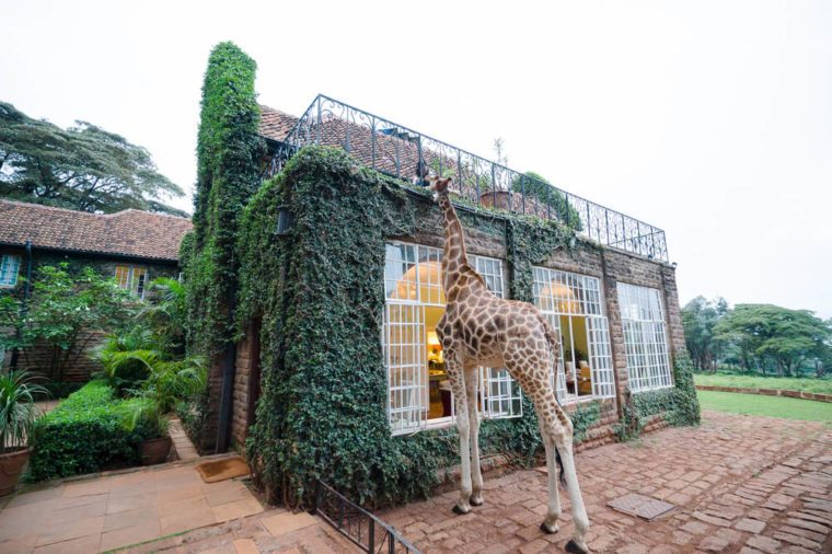 Giraffe Manor at Nairobi Kenya