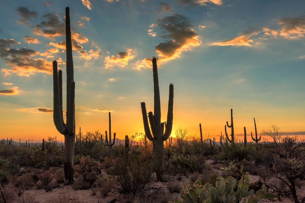 Most Stunning Desert Escapes in the U.S. | Reader's Digest