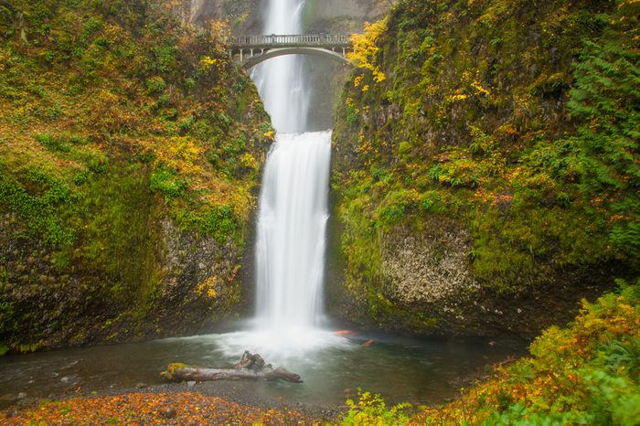 Multnomah falls in the Columbia River Gorge east of Portland, Oregon.