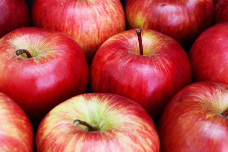 The Best Place To Go Apple Picking In Every State Reader S Digest