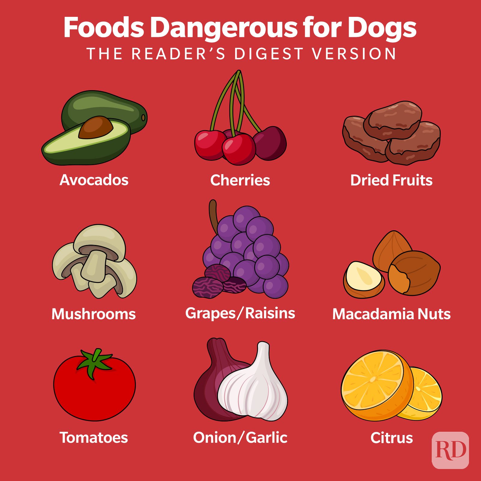 39 Vegetables and Fruits Dogs Can Eat and Can't Eat