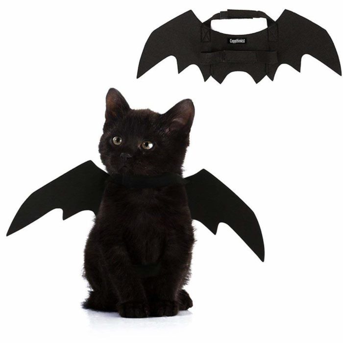 The Best Cat Costumes for Halloween Reader’s Digest