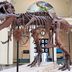 12 of the World's Best Dinosaur Museums