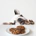 18 Human Foods Dogs Can't Eat, According to Vets