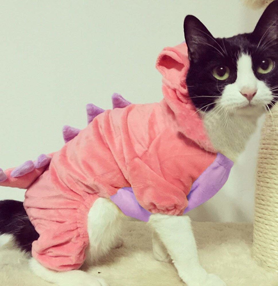 The Best Cat Costumes for Halloween | Reader’s Digest