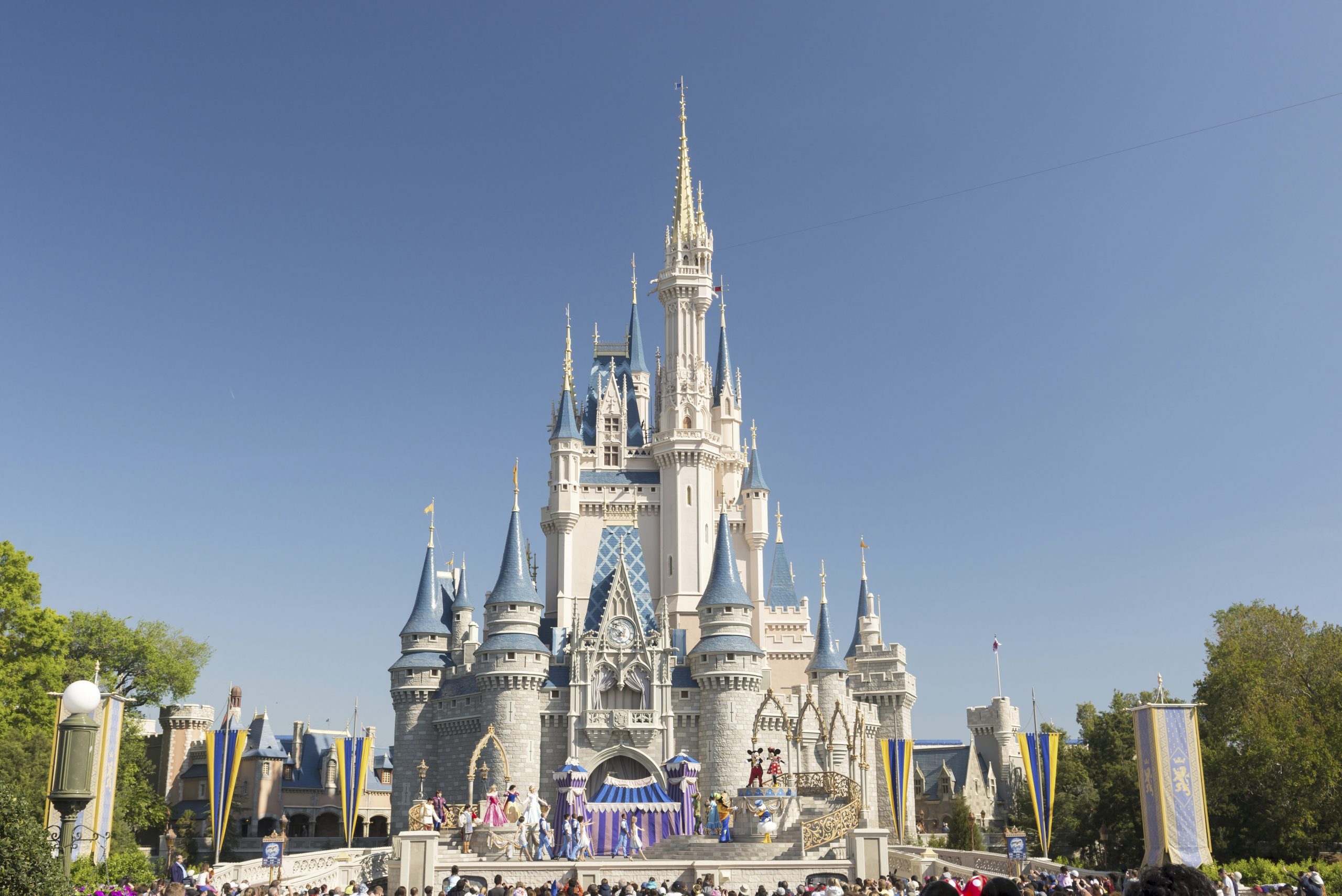 Cinderella Castle Shoulder Bag Disney Tokyo Disney Resort Only, Goods /  Accessories