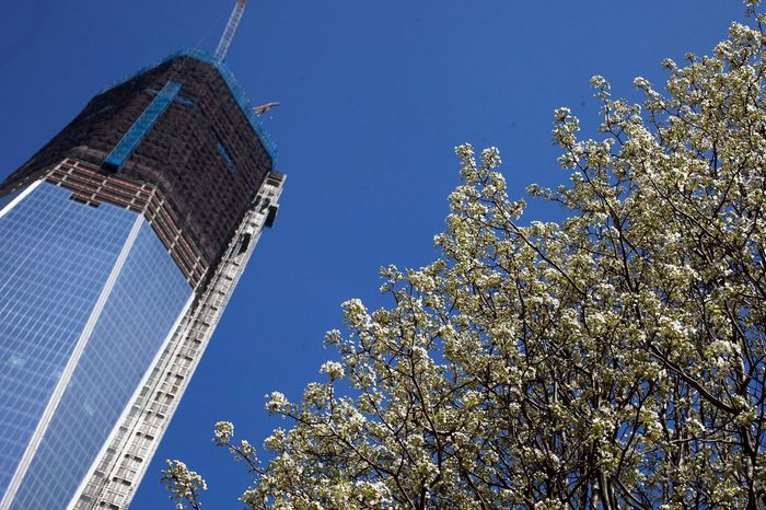 THE 10 BEST Things to Do Near One World Trade Center