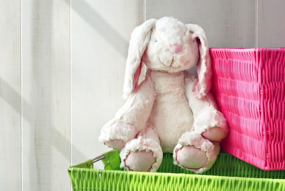 Adorable generic stuffed bunny with colorful storage containers. Sunlight from side window for effect.