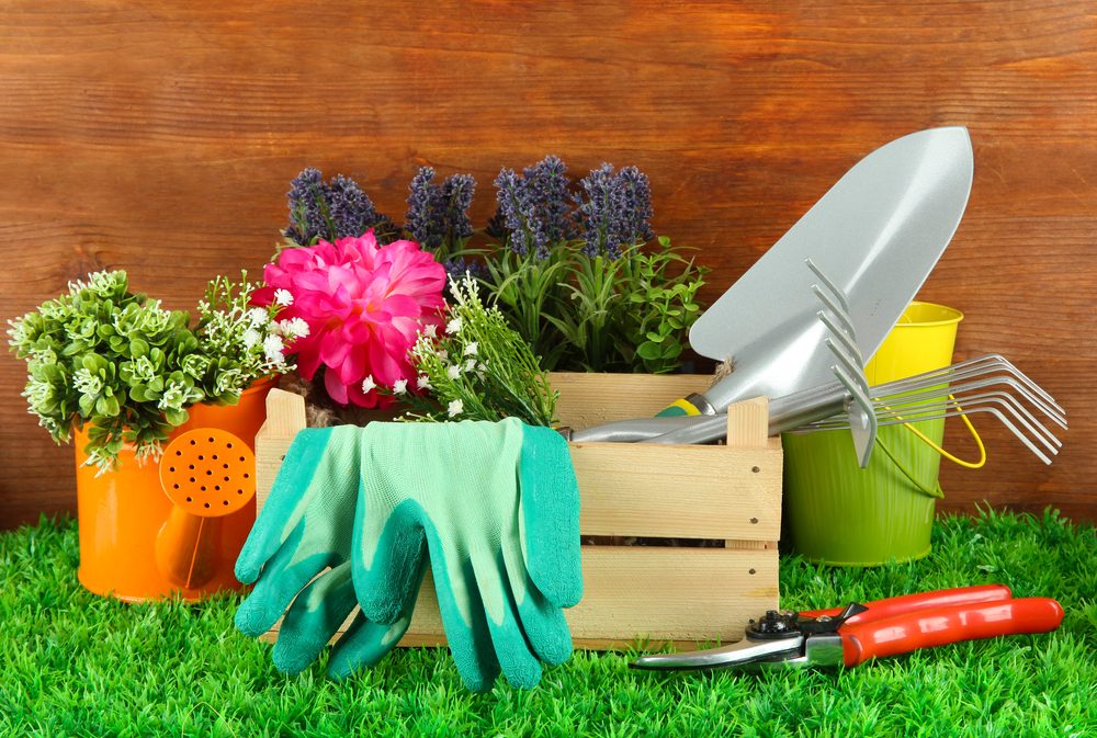 Garden tools on grass in yard