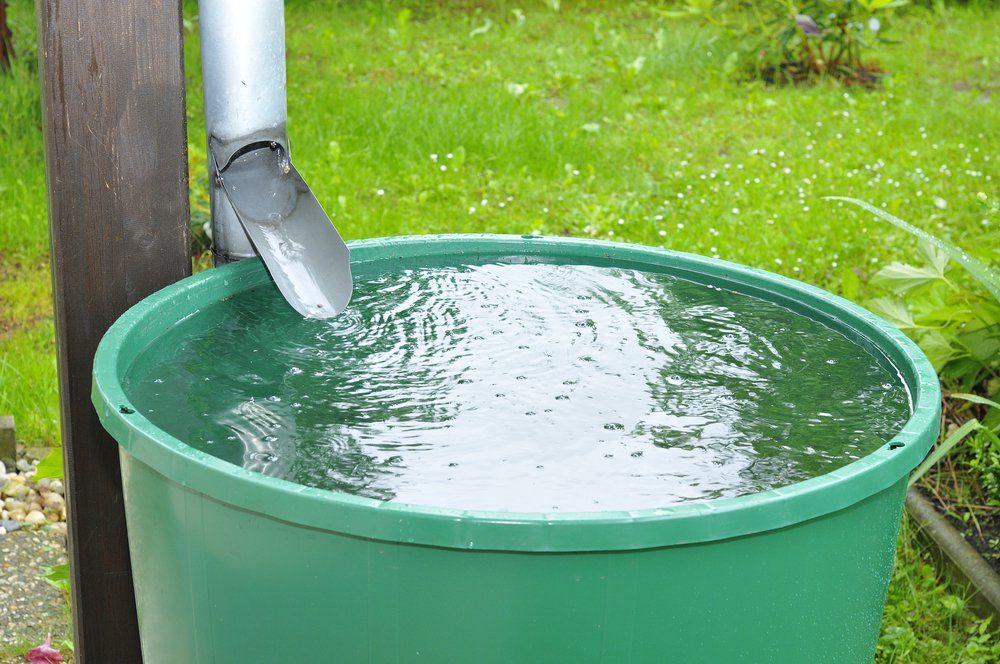 Collecting Rainwater In These States Could Be Illegal | Reader's Digest