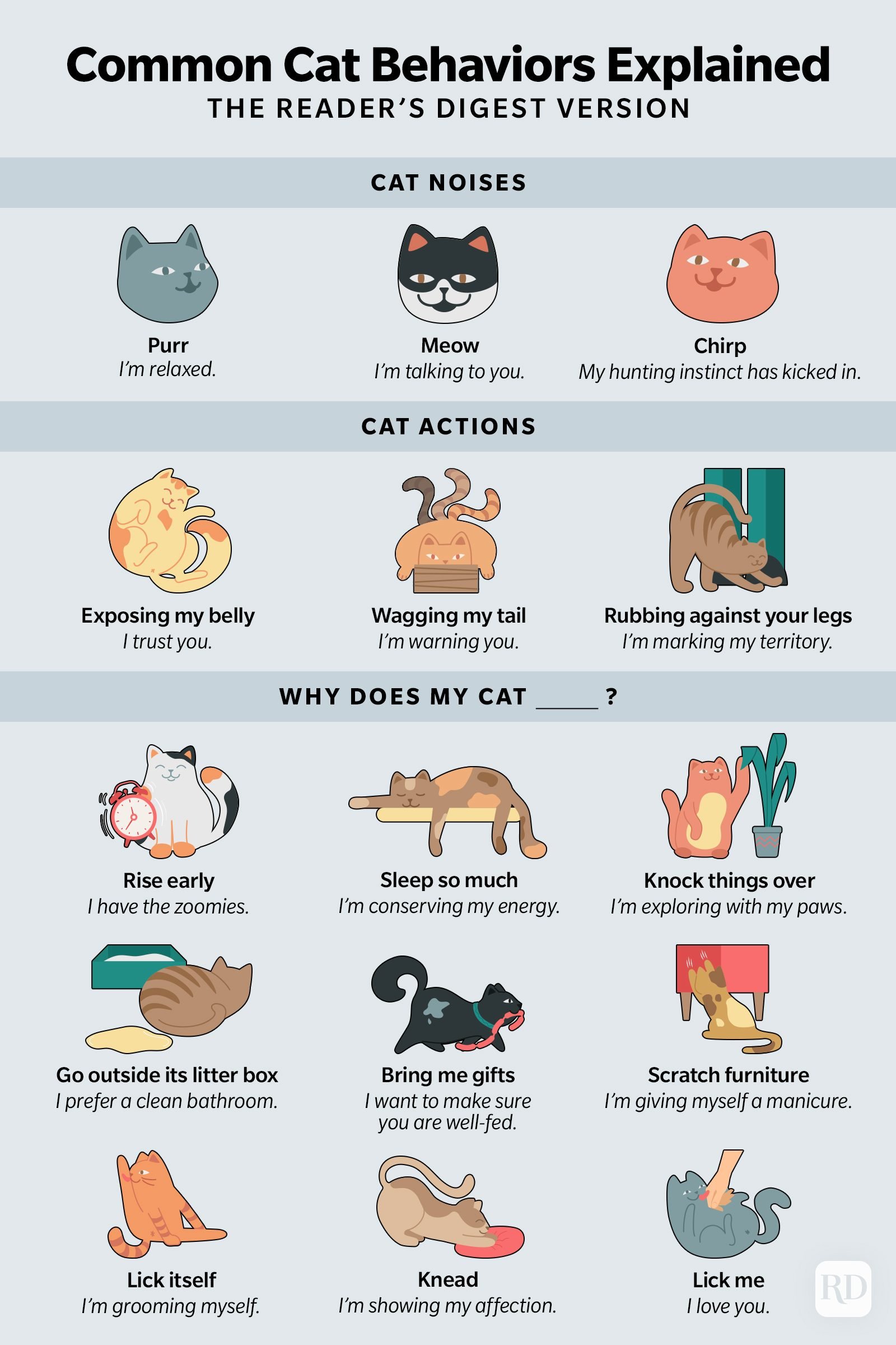 Cat Sounds and What They Mean