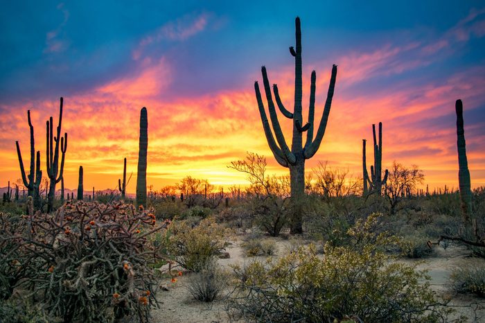 tuscon arizona