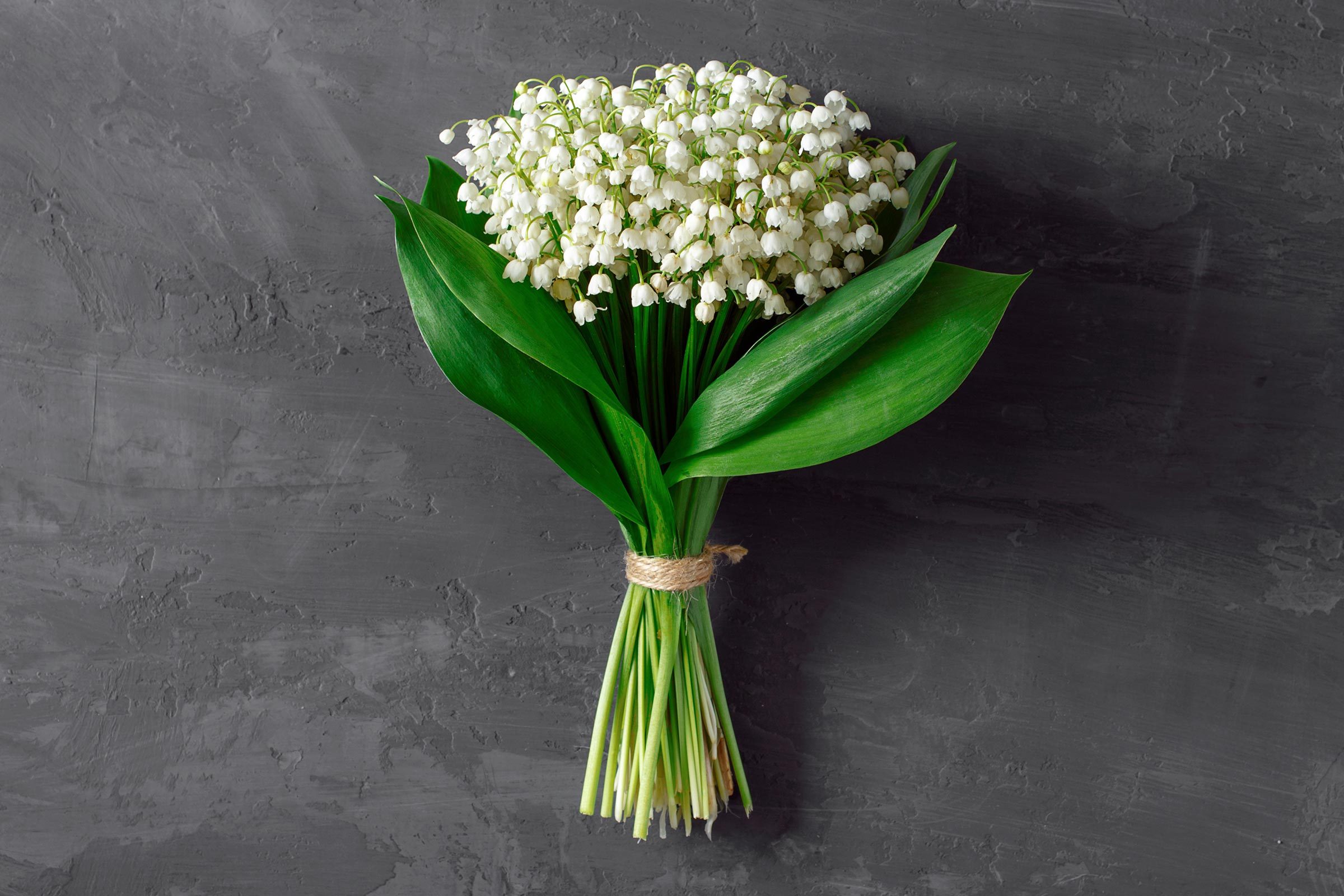 lily of the valley