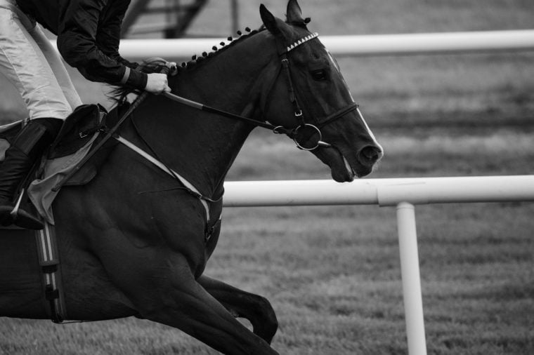 The Most Famous Kentucky Derby Horses Reader's Digest