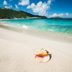 15 Beaches with the Best Seashells in the World