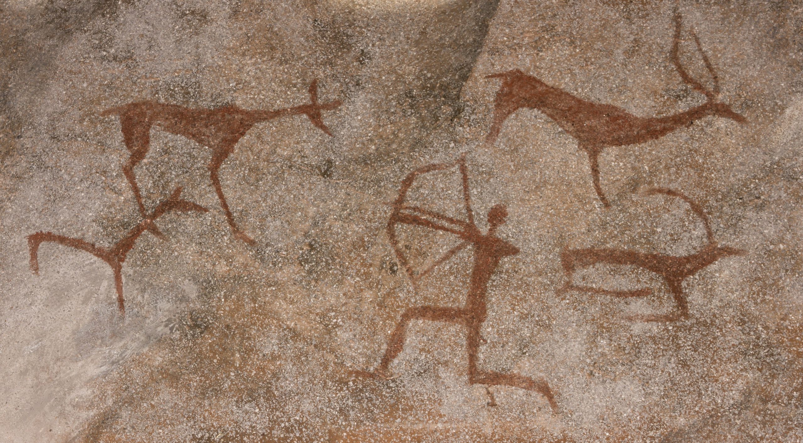 19 Lies You Were Told As A Kid That You Probably Still Believe 2022   Cave Drawings Scaled 