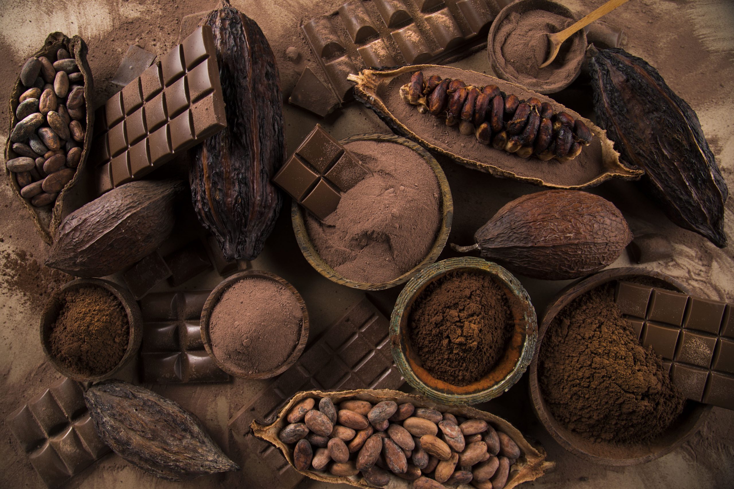 Cocoa VS Cacao : une différence fondamentale dans certains territoires du  globe