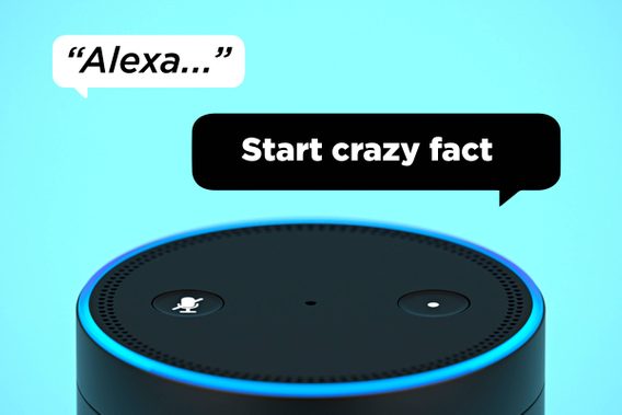 Funny Alexa Questions to Ask Your Amazon Echo | Reader's Digest