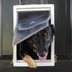 How Doggy Doors Are Making Your Home Vulnerable